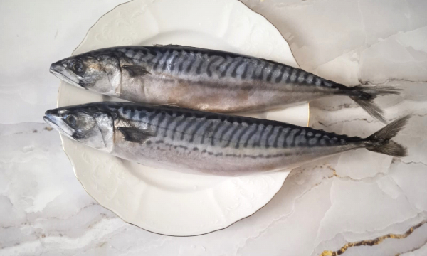 Пенсионеры, эта рыба спасет ваше сердце и мозг! Её нужно есть каждую неделю