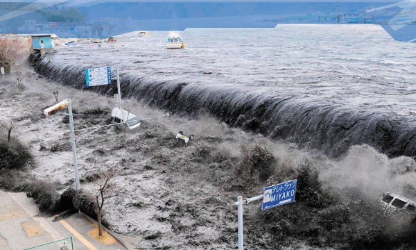 В океане зафиксирована надвигающаяся глобальная катастрофа