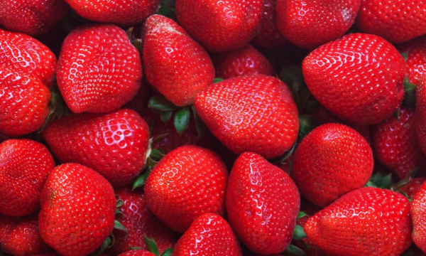 Польза «клубникотерапии»: почему ученые призывают людей в возрасте 50+ налегать на эту ягоду